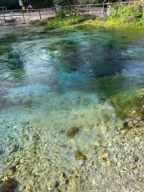 From Tirana/Durrës: Saranda,Ksamil islands and Blue Eye Tour - Who Will Love This Tour?