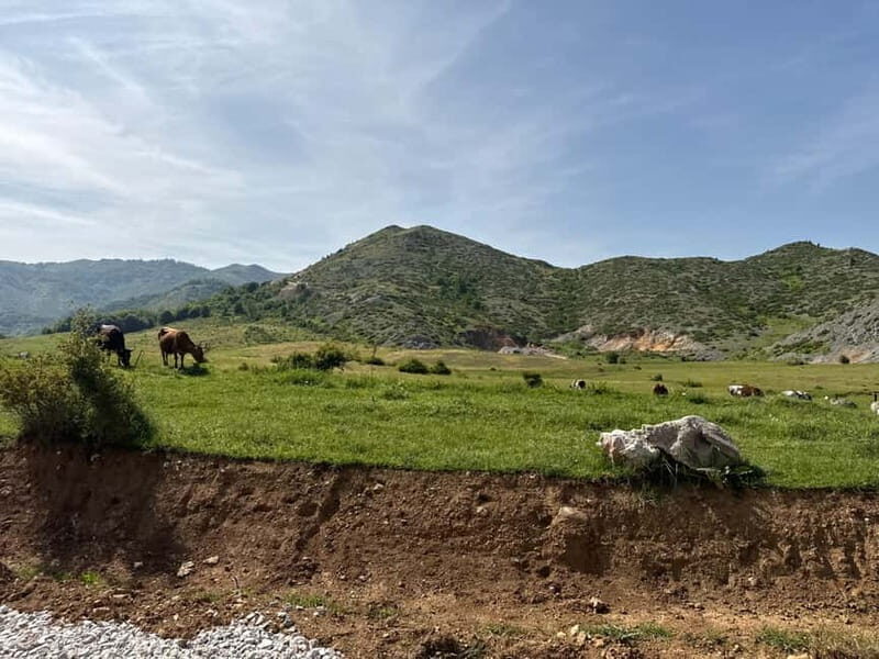 From Tirana/Durres:Hiking tour in National Park of Shebenik - Key Points