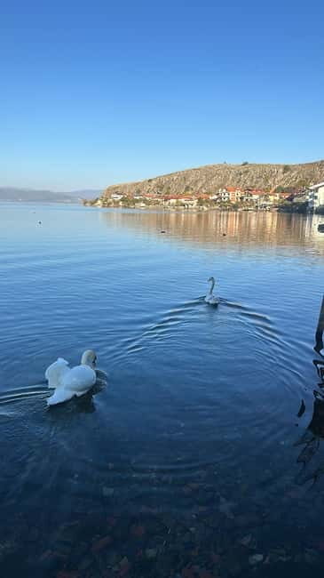 From Tirana: Ohrid Lake, Drilon, Lin, Pogradec With Lunch - Final Thoughts: Who Is This Tour Perfect For?