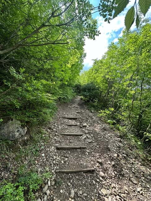 From Tirana: Pëllumbas Cave hiking & Petrelë Castle tour - FAQ