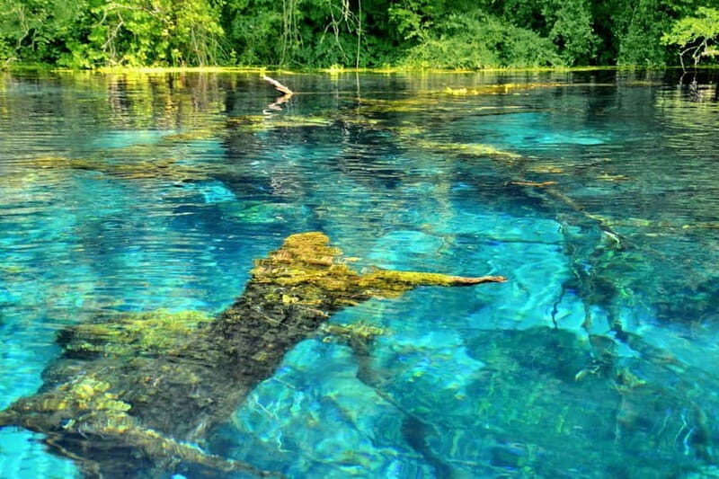 From Tirana: Saranda Blue Eye, Ksamil Islands with Boat Tour - Who Will Enjoy This Tour?