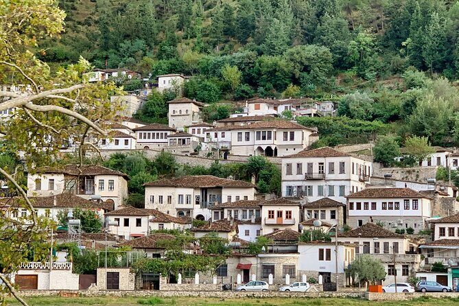 From Tirana: Small Group Day Trip to Berat & Belsh Lake - Who Will Love This Tour?