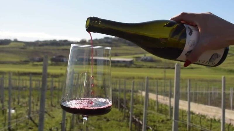 From Tirana: Wine Tasting & Durres Small Group Tour - Who Is This Tour Best For?