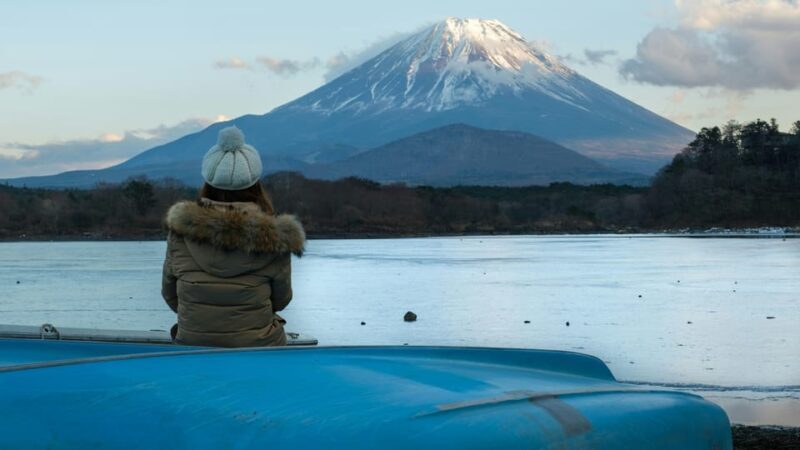 From Tokyo: 1 Full Day Mount fuji Sightseeing Trip - Key Points