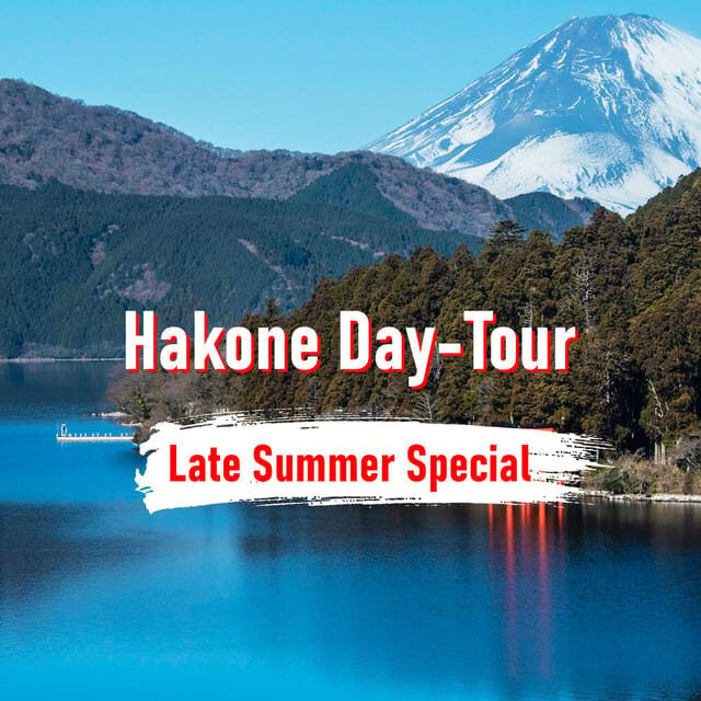 From Tokyo: 10-hour Hakone Private Custom Tour - Exploring Hakone on Your Terms