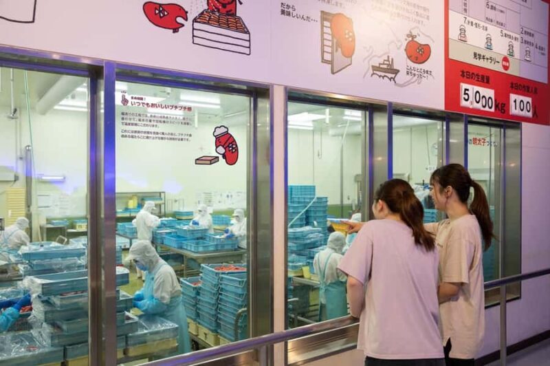 From Tokyo: Ashikaga Flower Park and Hitachi Park Tour - Key Points