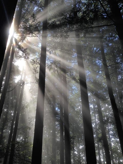 From Tokyo: Chichibu Hiking Day Tour To Mitsumine Shrine - An Authentic Japanese Mountain Adventure