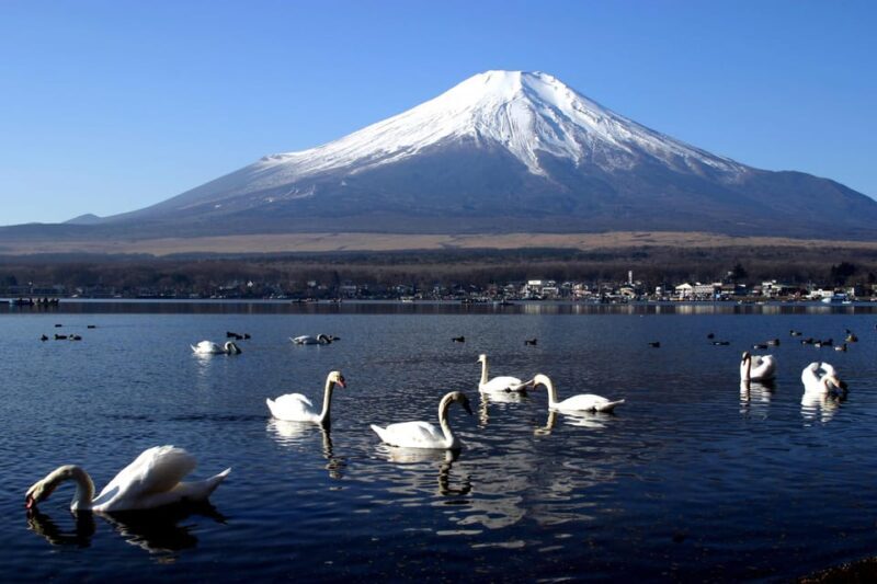 From Tokyo: Fuji Mountain Area - FujiQ - Lake Kawaguchiko - Chureito Pagoda - Exploring the From Tokyo: Fuji Mountain Area - FujiQ - Lake Kawaguchiko - Chureito Pagoda Tour