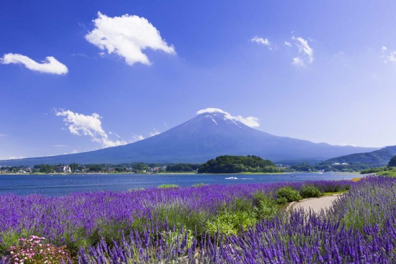 From Tokyo: Fuji Mountain Area - FujiQ - Lake Kawaguchiko - Chureito Pagoda - What Makes This Tour Valuable?