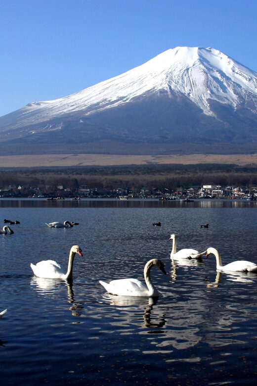 From Tokyo: Fuji Mountain Area - FujiQ - Lake Kawaguchiko - Chureito Pagoda - Analyzing the Cost and Experience Value