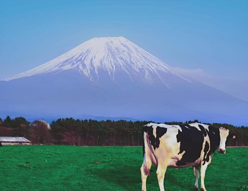 From Tokyo: Hakone and Mount Fuji tour with Transportation - Key Points