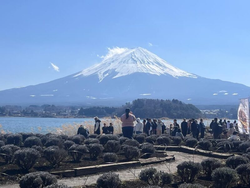 From Tokyo: Hakone and Mount Fuji tour with Transportation - The Sum Up