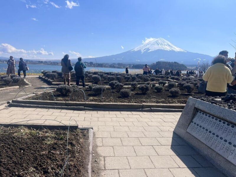 From Tokyo: Hakone and Mount Fuji tour with Transportation - FAQs