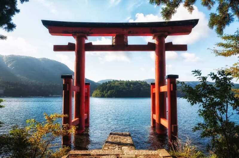 From Tokyo: Hakone and Owakudani Private Day Trip - Why Choose This Hakone and Owakudani Day Trip?