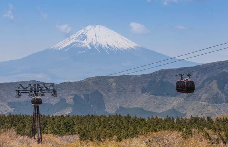 From Tokyo: Hakone and Owakudani Private Day Trip - Transportation and Comfort