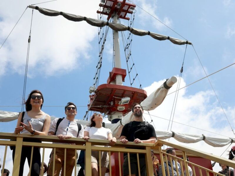 from-tokyo-hakone-cruise-mt-fuji-5th-station-day-trip