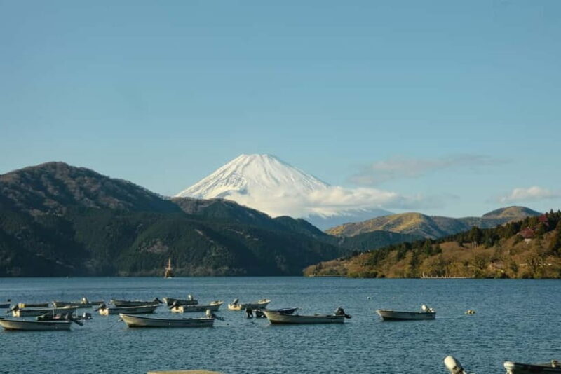 From Tokyo: Hakone Day Trip with English Speaking Driver - Final Thoughts: Is It Worth It?