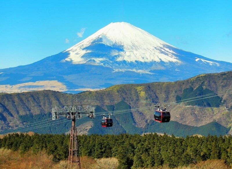 From Tokyo: Hakone Day Trip with Lake Ashinoko Boat Cruise - Key Points