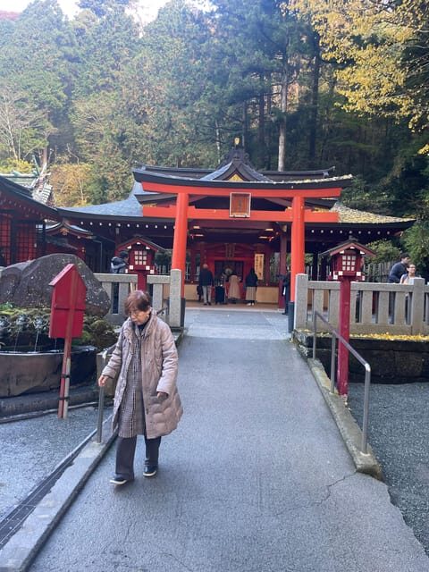 From Tokyo: Hakone Full Day Customizable Private Tour - Why Choose This Hakone Tour?