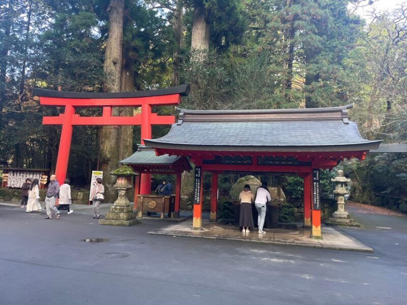 From Tokyo: Hakone Full Day Customizable Private Tour - What to Expect During Your Day