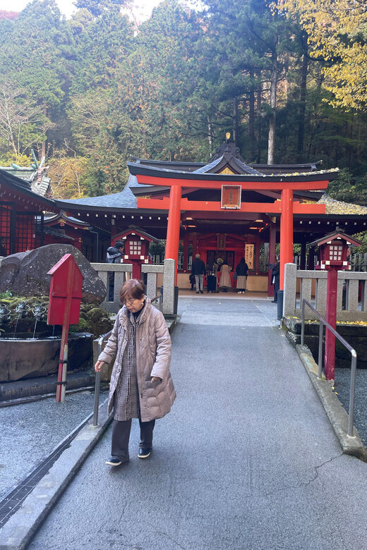 From Tokyo: Hakone Full Day Customizable Private Tour - The Value of a Private Guided Experience