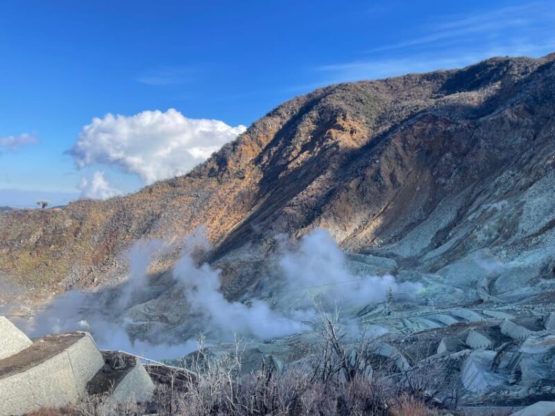 From Tokyo: Hakone Full Day Customizable Private Tour - Practical Considerations