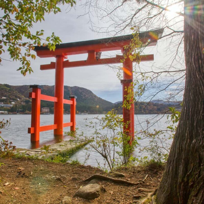From Tokyo: Hakone Fully Private Tour Customizable Itinerary - Who will love this tour?