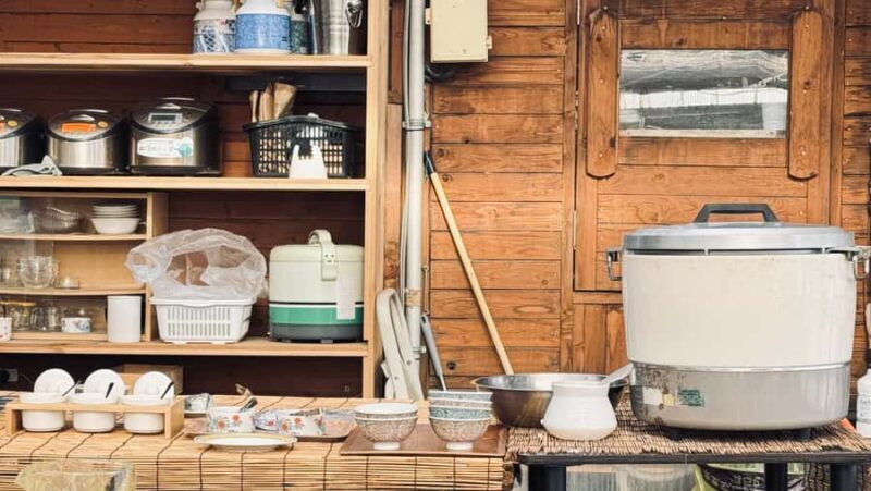 From Tokyo: Kaisei Tea Leaf Picking & Farm-to-Table Lunch - Who Is This Tour Best For?