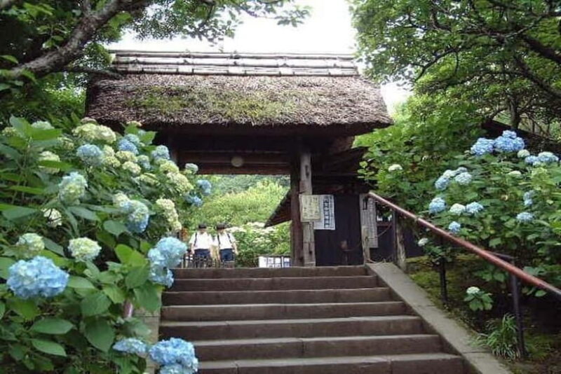 From Tokyo: Kamakura 8-Hour Private Walking Tour with Guide - Who Will Love This Tour?