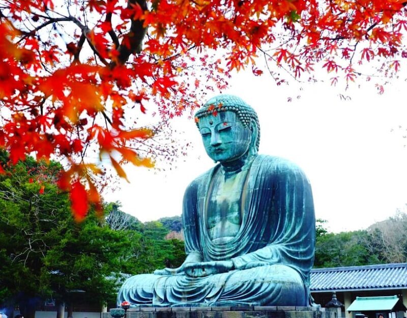 From Tokyo: Kamakura and Enoshima Full-Day Private Trip - Who Should Book This Tour?