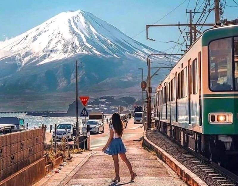 From Tokyo: Kamakura and Enoshima Full-Day Private Trip - The Sum Up