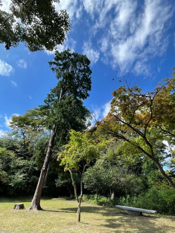 From Tokyo: Kamakura Daibutsu Trail & Tour to Great Buddha - The Charm of the Daibutsu Trail