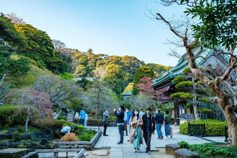 From Tokyo: Kamakura Full Day Private Custom Tour - Analyzing the Price and Value