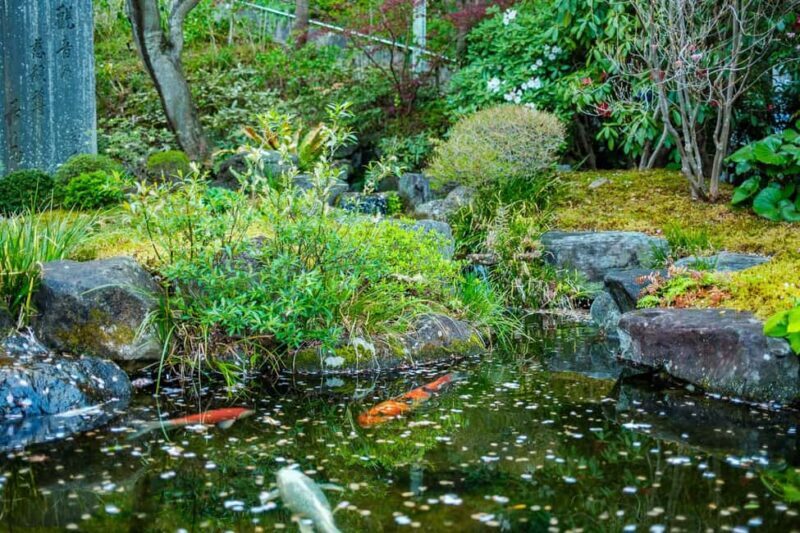 From Tokyo: Kamakura Full Day Private Custom Tour - Final Thoughts