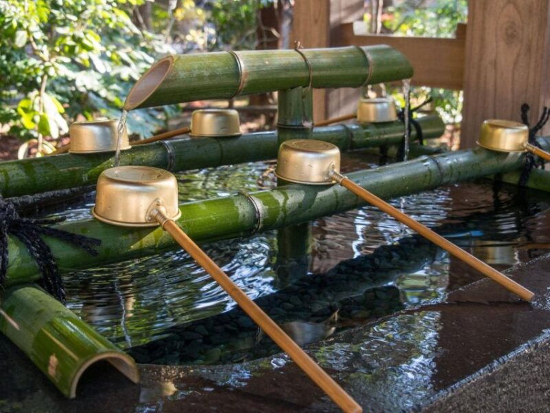 from-tokyo-kamakura-hachimangu-shrine-enoshima-day-tour