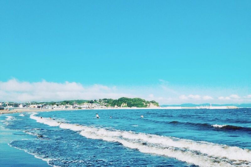 from-tokyo-kamakura-hachimangu-shrine-enoshima-day-tour