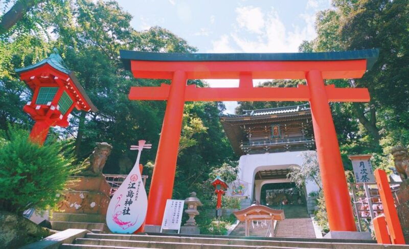 from-tokyo-kamakura-hachimangu-shrine-enoshima-day-tour