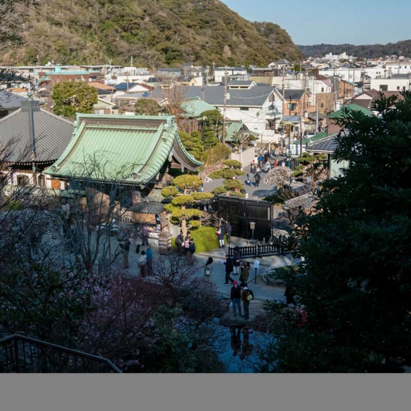 From Tokyo: Kamakura Private Historical & Cultural Day Trip - Exploring Kamakura in Depth