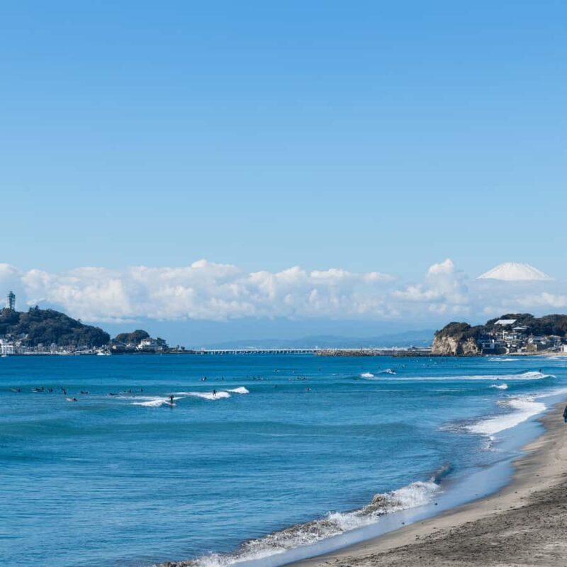 From Tokyo: Kamakura Private Historical & Cultural Day Trip - Final Thoughts