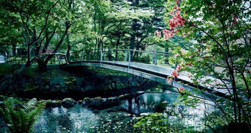 from-tokyo-karuiizawa-hyland-shrine-koedo-kawagoe-day-tour