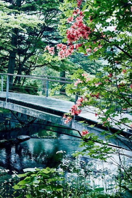 from-tokyo-karuiizawa-hyland-shrine-koedo-kawagoe-day-tour