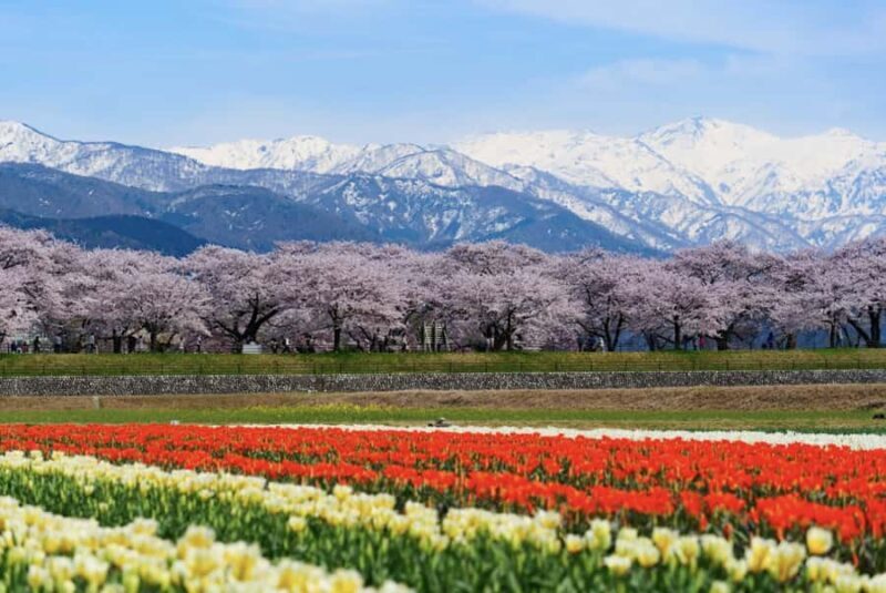 From Tokyo: Kawagoe Highlights & Karuizawa Resort Day Trip - Shopping and Leisure at Karuizawa