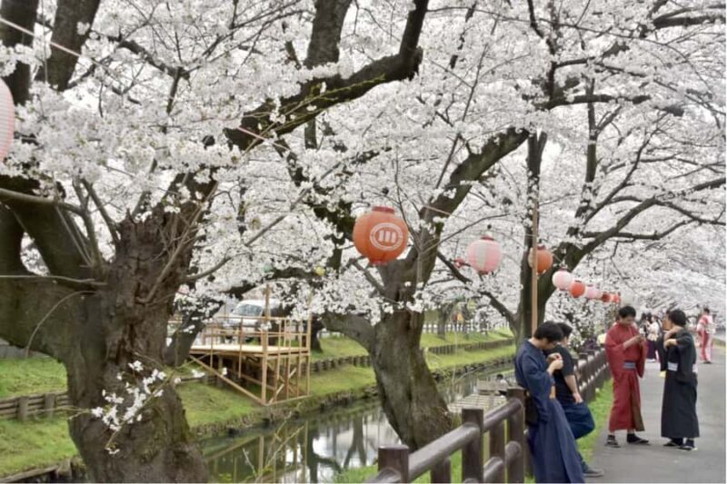 From Tokyo: Kawagoe Highlights & Karuizawa Resort Day Trip - Return Journey and Final Thoughts