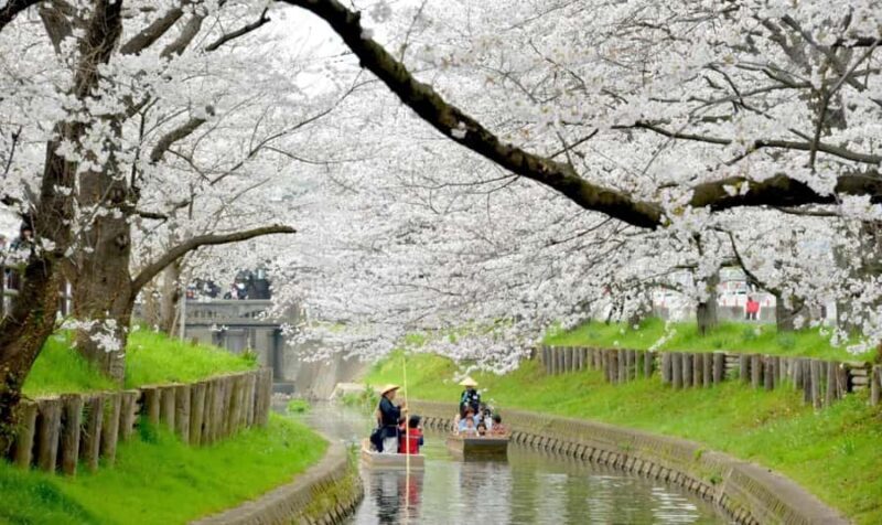 From Tokyo: Kawagoe Highlights & Karuizawa Resort Day Trip - Final Thoughts