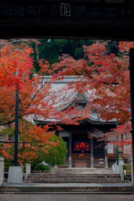 from-tokyo-kawazu-sakura-strawberry-hot-spring-day-tour