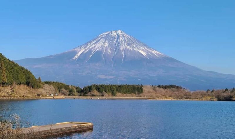 From Tokyo: Mount Fuji and Hakone Customizable Private Tour - Who Should Consider This Tour?