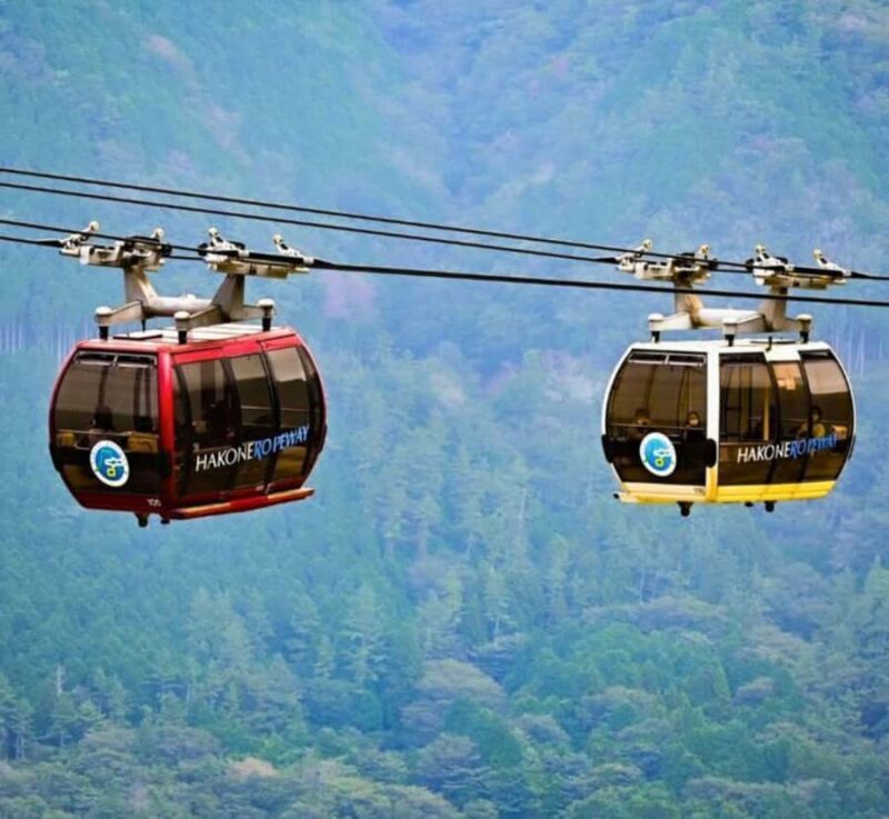 From Tokyo: Mount Fuji and Hakone Customizable Private Tour - FAQ