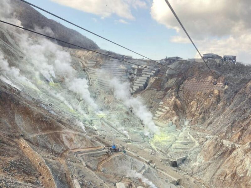 From Tokyo: Mount Fuji and Hakone Private Day Tour - Practical Details and Value