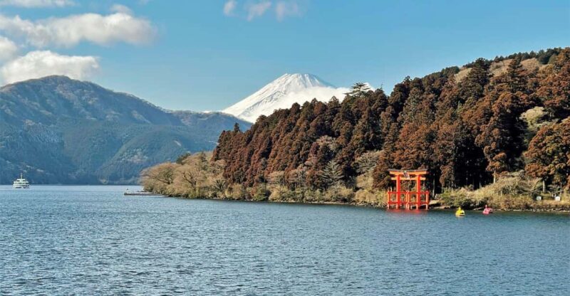 From Tokyo: Mount Fuji and Hakone Private Day Tour - What’s Important to Know