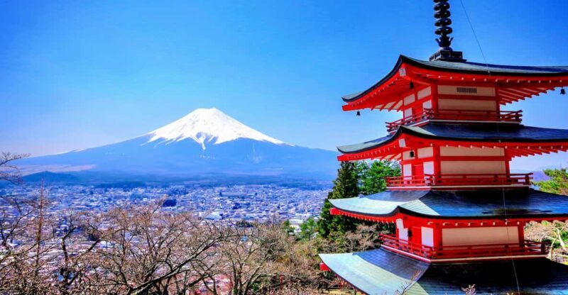 From Tokyo: Mount Fuji and Hakone Private Day Trip - Guides and Personal Touch